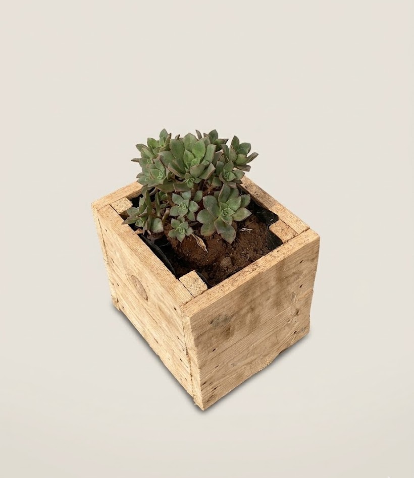 Lenge Flower Pot (empty) Planter — handcrafted African outdoor from Kenya