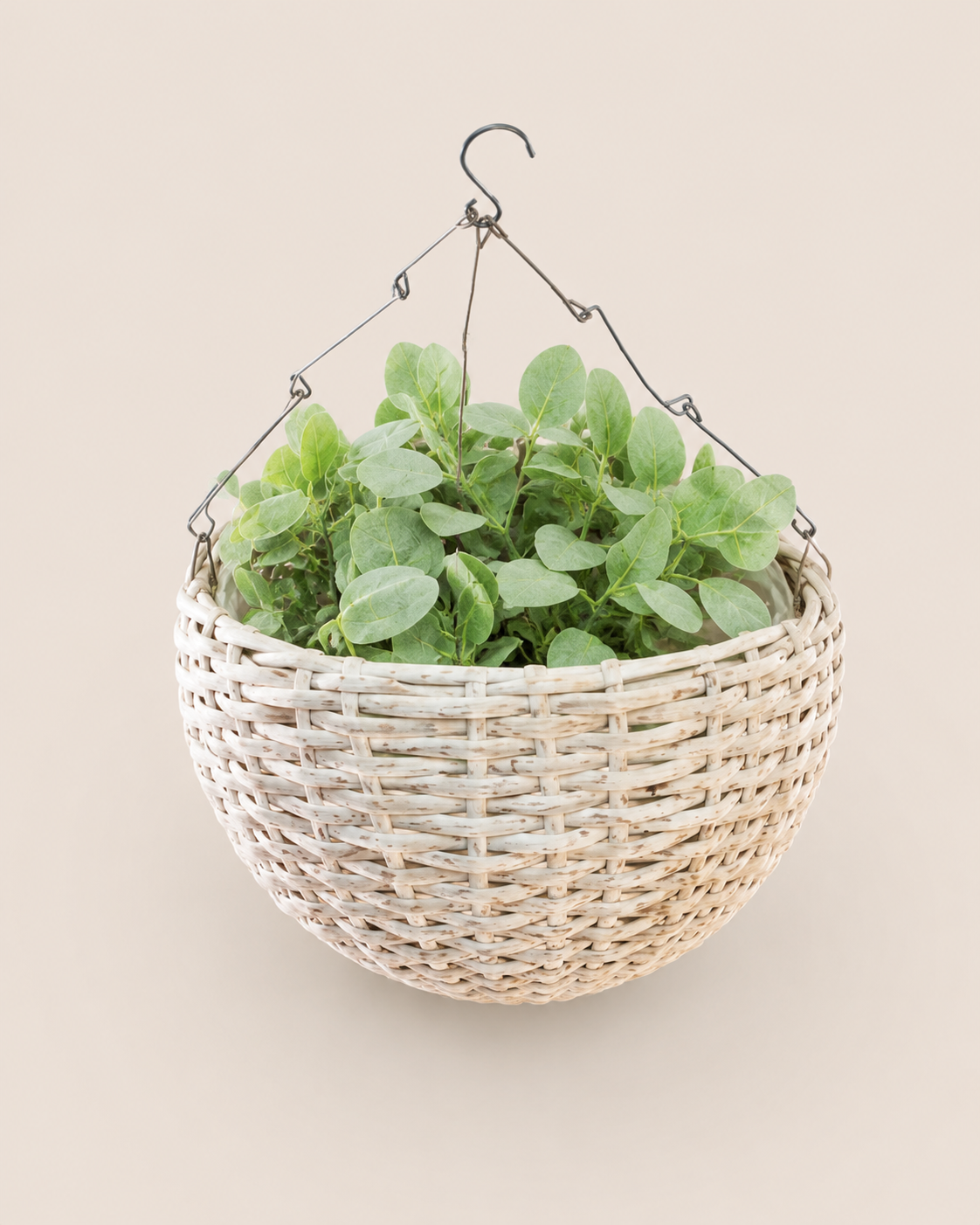 Nneka Hanging Planter — handcrafted African outdoor from Kenya