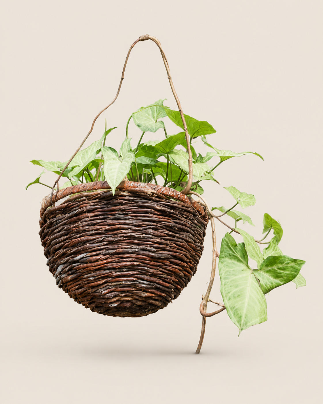 Beba Rattan Hanging Planter — handcrafted African outdoor from Kenya