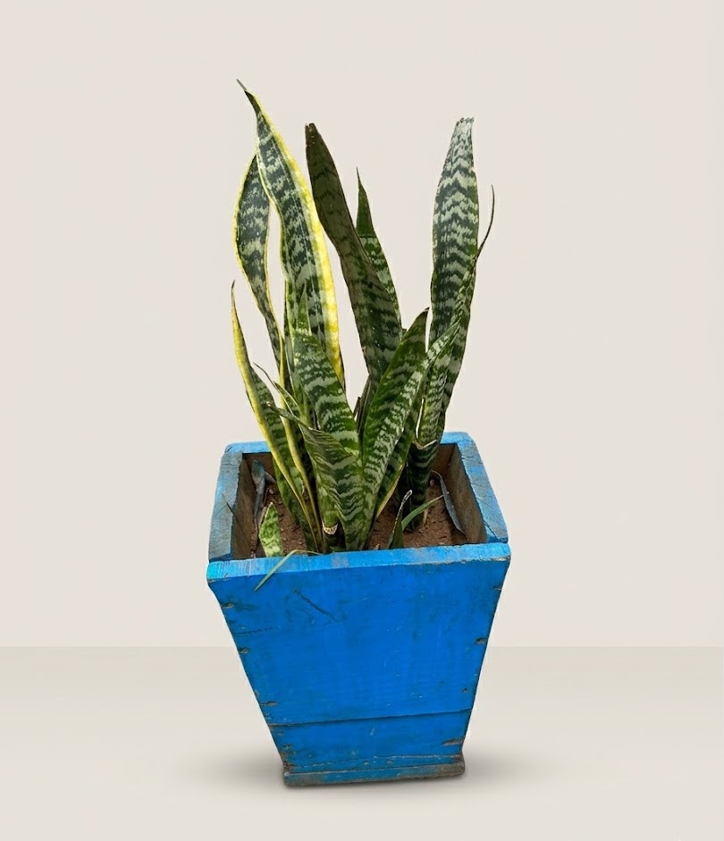 Mbingu Blue Planter — handcrafted African outdoor from Kenya