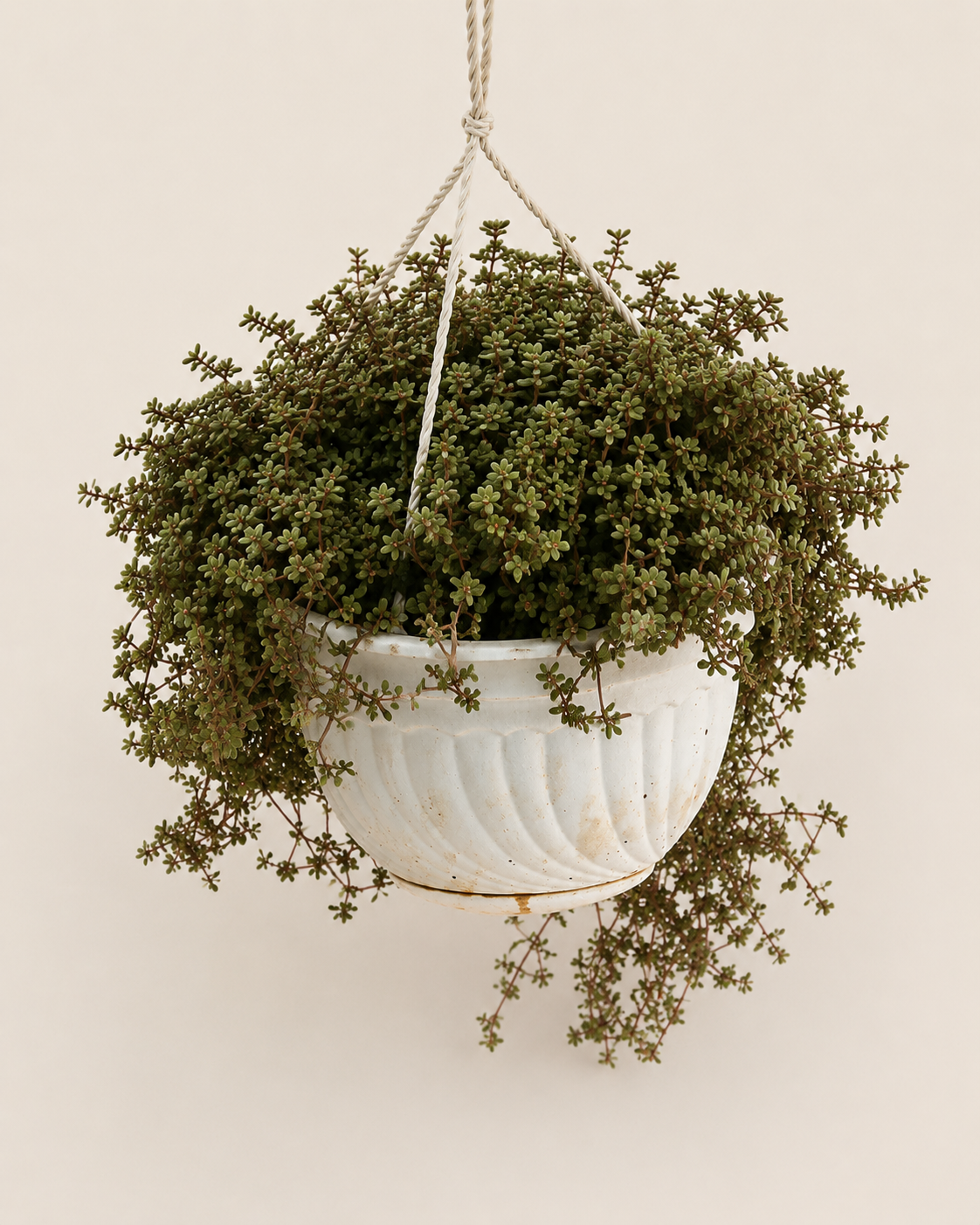Abodi Hanging Planter — handcrafted African outdoor from Kenya